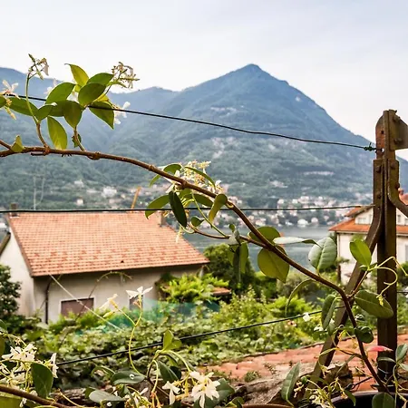 Vecchio Borgo * 托尔诺